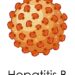 hepatitis B & C