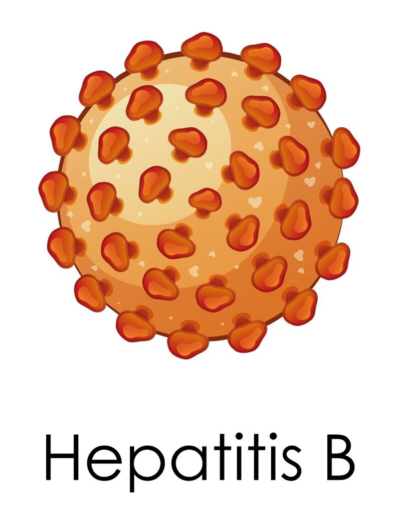 hepatitis B & C