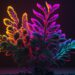Bioluminescent Plants