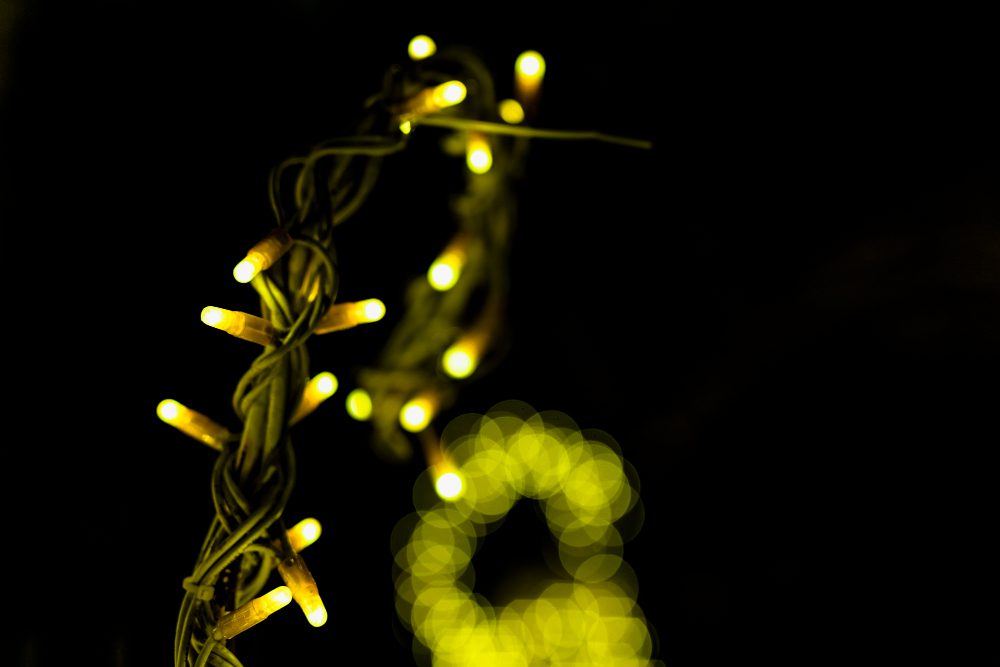 Now, researchers are exploring the potential of bioluminescent plants as a source of sustainable lighting and energy.